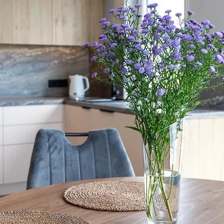 Jura-oro Apartamentai Palanga